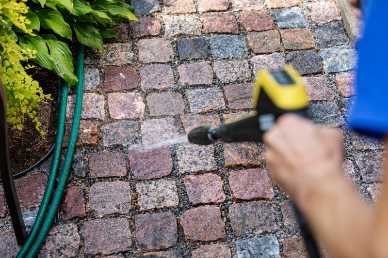 Paver Sidewalk Cleaning