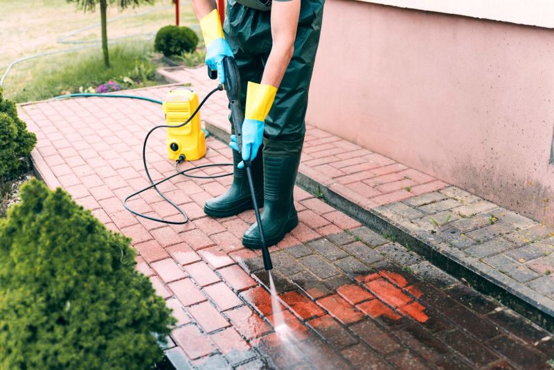 Paver Walkway Cleaning
