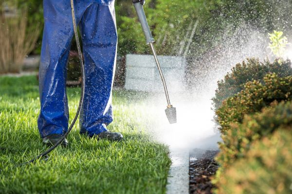 Cost of Curb Cleaning in Encinitas