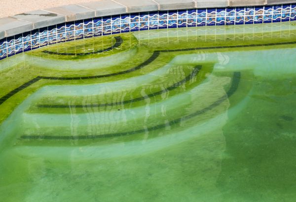 Cost of Pool Deck Algae Removal in Encinitas