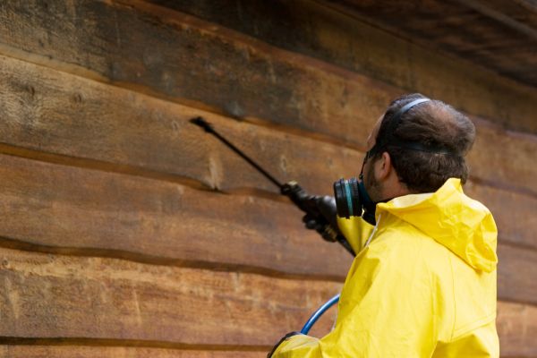 Cost of Cedar Siding Washing in Encinitas